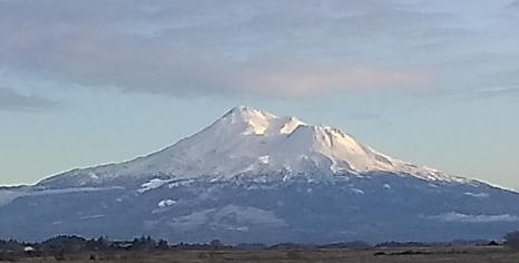 Shasta